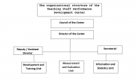 Organizational Structure