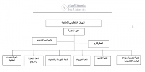الهيكل التنظيمي - المكتبة