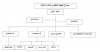 Organizational Structure