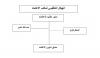 Organizational Structure