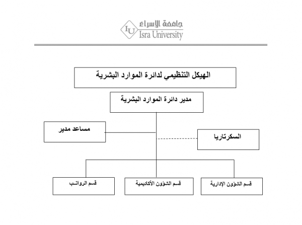 Organizational Structure