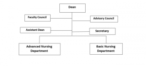 Organizational Structure of the Nursing Faculty