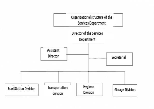 Organizational Structure