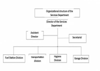 Organizational Structure