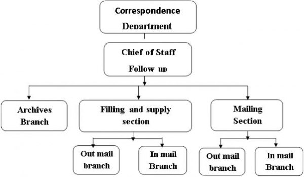 Organizational Structure