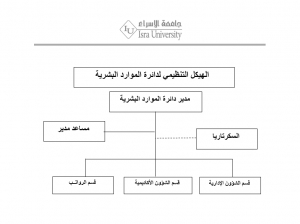 الهيكل التنظيمي - دائرة الموارد البشرية