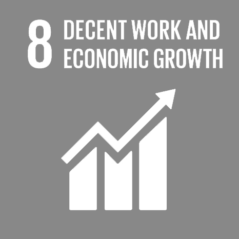  SDG8: DECENT WORK AND ECONOMIC GROWTH 