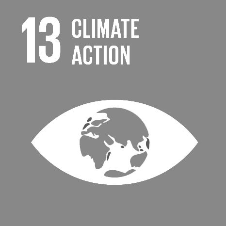  SDG13: CLIMATE ACTION 