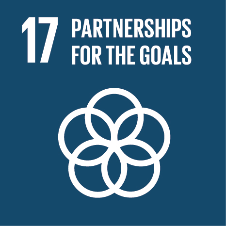  SDG17: PARTNERSHIPS FOR THE GOALS 
